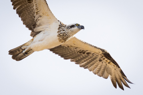 karijini ningaloo photo tour example 21